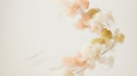 Abstract watercolor ink clouds in soft peach and golden yellow tones flowing through water creating organic fluid patterns for artistic backgrounds.