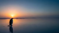 Solitary figure standing on calm water surface during golden hour sunrise creating peaceful reflection and serene atmosphere for meditation concepts.