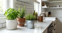 Fresh herbs growing in decorative pots on modern kitchen counter with white subway tile backsplash and natural lighting for culinary cooking.