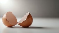 Broken brown eggshell halves on clean white surface with soft lighting. Cracked egg shells split open showing natural texture and organic form.