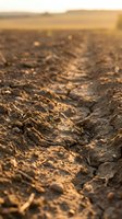 Plowed agricultural field with deep furrows and rich soil texture at golden hour, suitable for farming, agriculture, and environmental concepts.