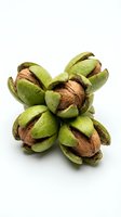 Cluster of green pistachio nuts with open shells revealing brown kernels inside, isolated on white background for food and culinary design projects.