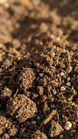 Rich, dark soil texture with organic matter, pebbles, and plant debris in close-up view. Suitable for gardening, agriculture, and environmental content.