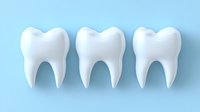 White teeth models arranged in row on light blue background, representing dental care, oral hygiene, and dentistry concept for healthcare professionals.