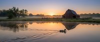 Serene rural landscape at sunrise with traditional barn reflected in calm water, misty morning atmosphere perfect for nature and agricultural themes.