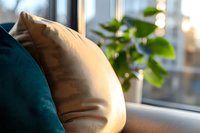 Cozy home interior with soft beige and teal throw pillows on windowsill, natural daylight streaming through window, green plant leaves creating peaceful atmosphere.