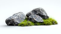 Natural gray stones on bright green moss against white background, minimalist composition for wellness, spa, meditation, and zen concepts.