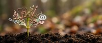 Young plant seedling with mechanical gears sprouting from leaves symbolizing innovation, technology growth, and sustainable development in nature.
