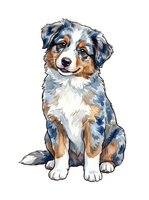 Tri-color Australian Shepherd puppy sitting and looking at camera with alert expression. Isolated on white background, ready for design use on merchandise and marketing materials.
