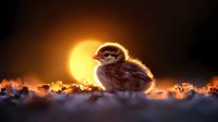 Baby duckling silhouetted against golden sunset, backlit with glowing rim light effect, sitting among autumn leaves in magical evening atmosphere.