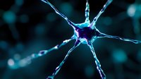Glowing blue neuron cell with branching dendrites on dark background, microscopic view of nervous system activity. Medical science and neurology concept.