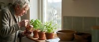Senior woman watering small potted herbs on kitchen windowsill in cozy home interior with natural lighting and ceramic bowls nearby.