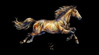 Watercolor galloping horse isolated on transparent background, ready for t-shirt design, stickers, clipart, print on demand, and sublimation projects.