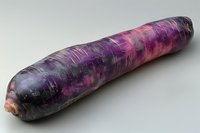 Fresh purple carrot isolated on light background showing vibrant natural colors and organic texture, ready for healthy cooking and food photography.