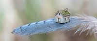 Miniature wooden house model resting on blue feather surface with soft blurred natural background for real estate and home concepts.