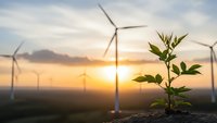 Green plant seedling growing with wind turbines at sunset symbolizing renewable energy and environmental sustainability for eco-friendly projects.