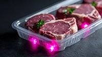Raw ribeye steaks in plastic container with pink neon light reflection on dark background, fresh meat cuts with parsley garnish for grocery display.
