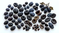 Dried dark grapes and raisins arranged on white background, isolated for food packaging, culinary design, nutrition education, and healthy snack marketing purposes.