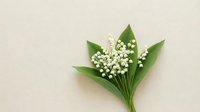 Delicate lily of the valley flowers with green leaves arranged on neutral beige background for spring wedding invitations and floral design projects.