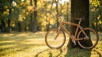 Vintage copper-toned bicycle leaning against tree trunk in sunlit forest park setting with golden bokeh background, suitable for outdoor lifestyle and recreation themes.