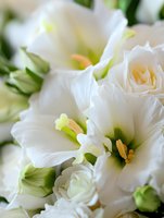 Delicate white eustoma and roses in soft focus macro shot, creating romantic floral composition with gentle yellow stamens and light green buds for wedding design.