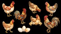 Chickens and roosters in various poses with eggs, isolated on transparent background, ready for t-shirt designs, clipart, stickers, sublimation and print-on-demand products.