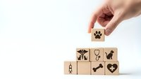 Hand placing wooden cube with paw print icon completing pet care symbol pyramid on white background for veterinary and animal health concepts.