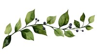 Watercolor botanical branch with green leaves and dark berries isolated on white background for nature design projects and organic branding materials.