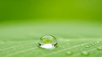 Crystal clear water droplet rests on vibrant green leaf surface with natural texture and dewdrops, showcasing purity and freshness in nature macro photography.