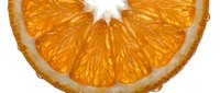 Sliced orange citrus fruit half showing juicy segments and fresh pulp isolated on white background for food and beverage design use.