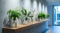 Modern minimalist interior with green plants in glass vases on wooden shelf. Contemporary home decor featuring natural elements and clean design aesthetic.