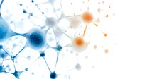 Abstract network of interconnected neurons in blue and orange colors showing synaptic connections and neural pathways against white background for medical or science designs.