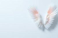 Delicate white angel wings with soft pink highlights cast gentle shadow on light background, symbolizing purity, freedom and spiritual enlightenment.