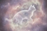 Mystical cat silhouette with cosmic galaxy background featuring purple pink nebula clouds and sparkling stars for spiritual meditation designs.