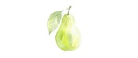 Watercolor green pear with leaf isolated on white background for healthy food design, organic fruit illustration, kitchen decor and culinary projects.