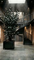 Potted green plant in modern industrial loft space with spiral staircase, brick walls, and skylight for contemporary interior design and architecture projects.