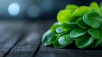 Fresh green basil leaves on dark wooden surface with soft bokeh background, macro food photography highlighting natural texture and vibrant color.
