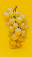 Fresh white grape cluster on bright yellow background, minimalist food composition with natural light and soft shadows creating depth and texture.