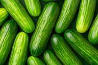 Fresh green cucumbers arranged in rows creating natural pattern. Close-up view of organic vegetables with glossy skin texture and vibrant color.
