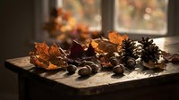 Autumn leaves, acorns and pine cones arranged on wooden table by window with warm sunlight creating cozy seasonal home decor atmosphere for fall holidays.
