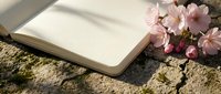 Open notebook with blank pages and pink cherry blossoms on textured surface in natural sunlight for spring journaling and creative writing projects.