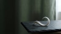Delicate feather resting on dark slate surface with soft natural light and blurred green background, suitable for wellness and nature-themed designs.