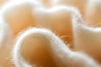 Soft white cotton fiber macro photography showing delicate natural texture and curves in warm beige tones, suitable for textile and organic backgrounds.
