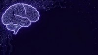Digital brain with circuit patterns on dark blue background for artificial intelligence and technology concepts in modern design applications.