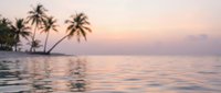 Tropical paradise sunset with palm trees silhouetted against pink sky over calm ocean waters creating peaceful vacation atmosphere for travel content.