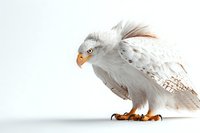Majestic white eagle with spotted wings and distinctive feather patterns stands alert on light background, side view portrait showing detailed plumage and natural pose.