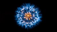 Glowing blue dandelion seed head with orange center on black background, macro nature photography style artwork for spiritual and wellness designs.