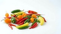 Fresh assorted hot peppers including red, green, yellow and orange varieties arranged on white background for culinary and food styling use.