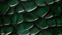 Dark green reptilian scales in macro view showing detailed texture and pattern. Natural armor-like surface with overlapping segments creates dramatic light play.