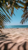 Tropical sandy beach view through palm fronds with turquoise ocean and clear blue sky, creating a serene vacation atmosphere.